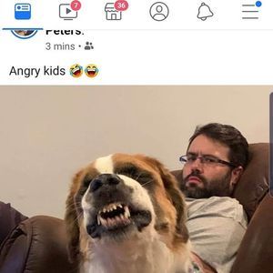 Meet your Posher, Dave